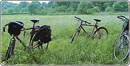 Fahrradtour im Grünen